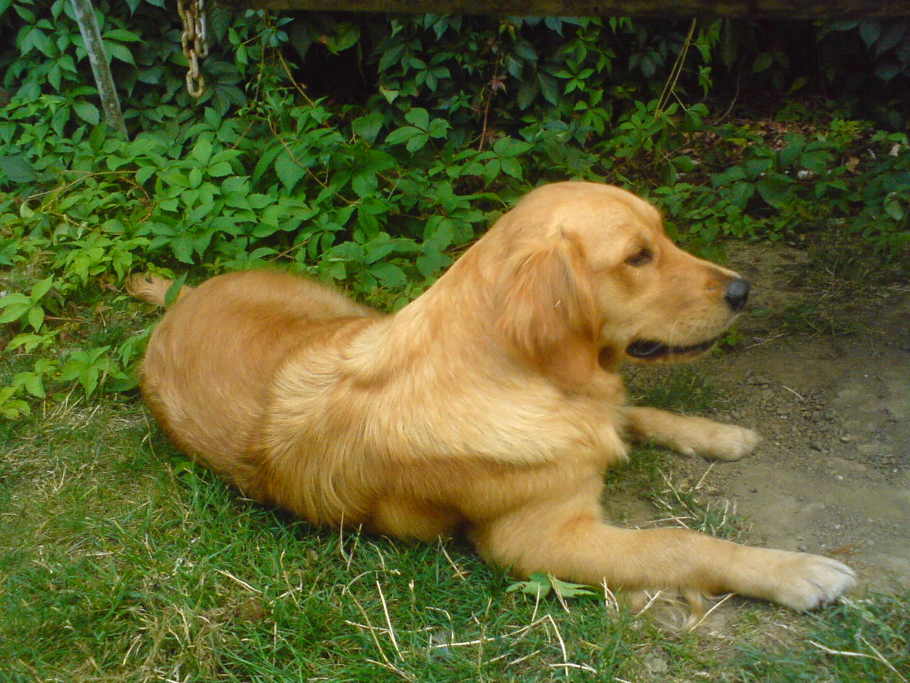 Rikina 134.jpg
