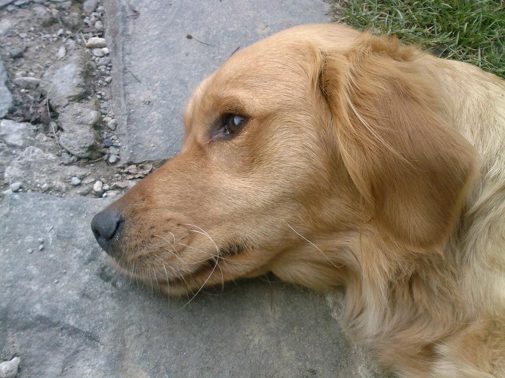 Rikina 204.jpg